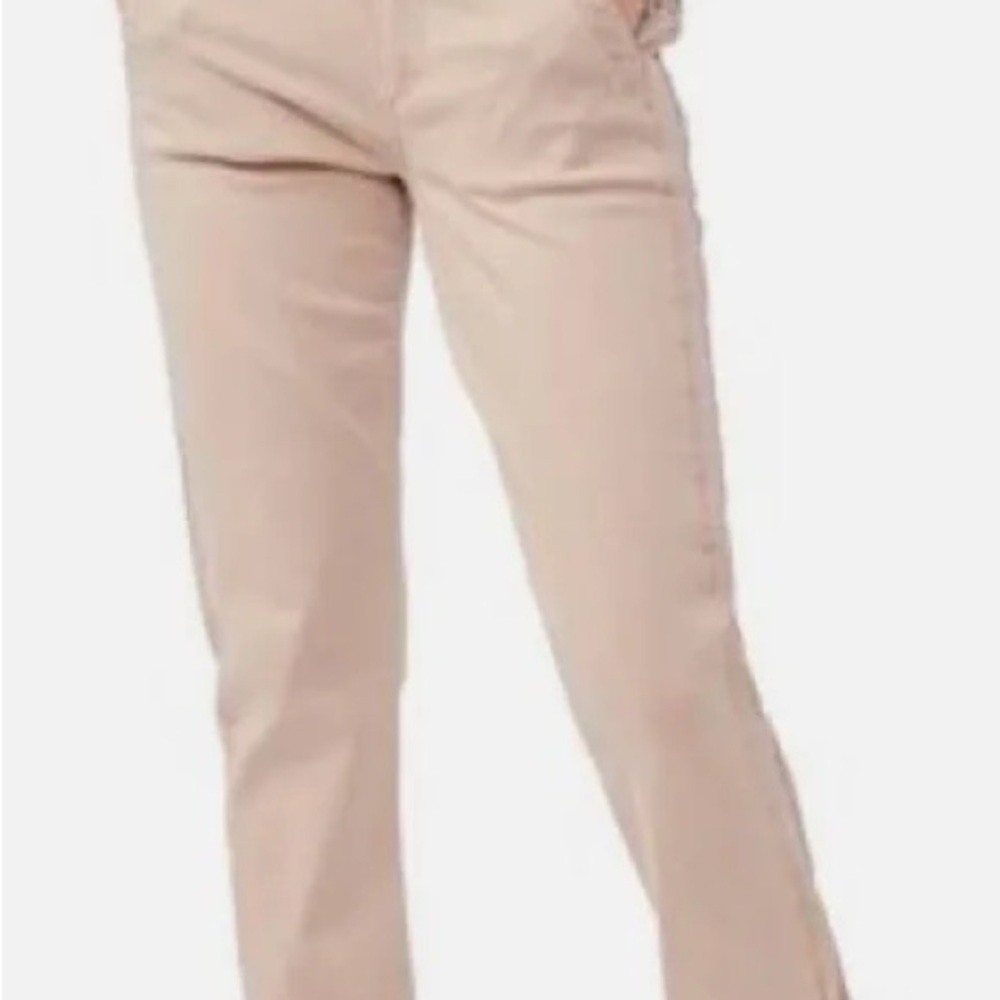 Paige Mayslie Joggers size 31